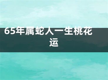 65年属蛇人一生桃花运