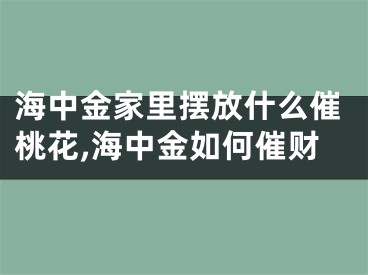 海中金家里摆放什么催桃花,海中金如何催财