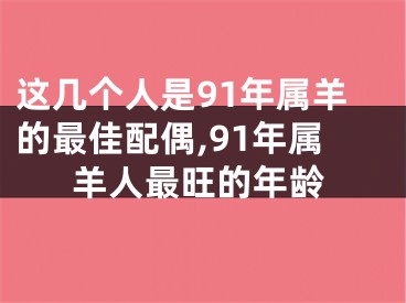 这几个人是91年属羊的最佳配偶,91年属羊人最旺的年龄