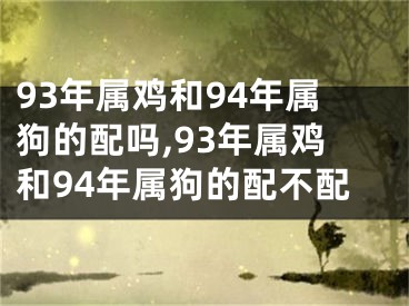 93年属鸡和94年属狗的配吗,93年属鸡和94年属狗的配不配