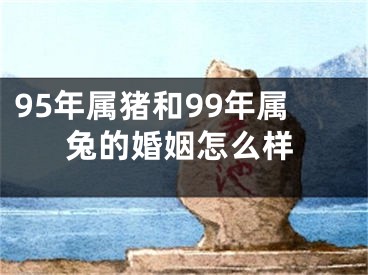 95年属猪和99年属兔的婚姻怎么样