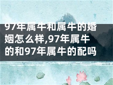 97年属牛和属牛的婚姻怎么样,97年属牛的和97年属牛的配吗