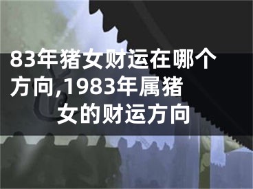 83年猪女财运在哪个方向,1983年属猪女的财运方向