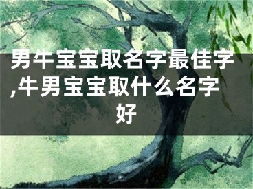 男牛宝宝取名字最佳字,牛男宝宝取什么名字好