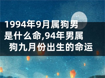 1994年9月属狗男是什么命,94年男属狗九月份出生的命运