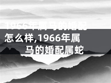 1966年属马的婚配怎么样,1966年属马的婚配属蛇