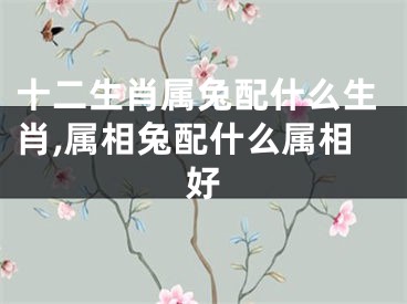 十二生肖属兔配什么生肖,属相兔配什么属相好