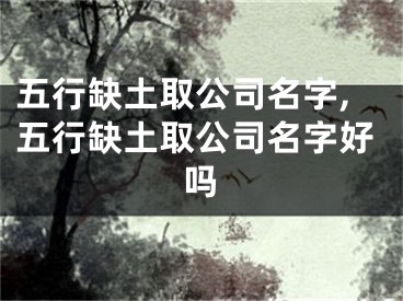 五行缺土取公司名字,五行缺土取公司名字好吗