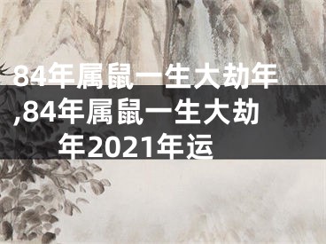 84年属鼠一生大劫年,84年属鼠一生大劫年2021年运