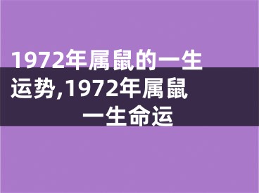 1972年属鼠的一生运势,1972年属鼠一生命运