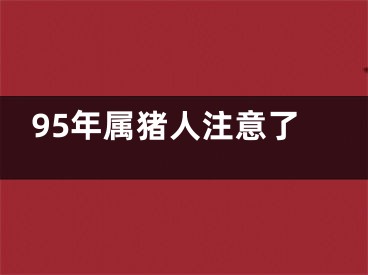 95年属猪人注意了