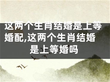 这两个生肖结婚是上等婚配,这两个生肖结婚是上等婚吗