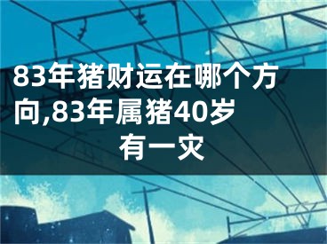 83年猪财运在哪个方向,83年属猪40岁有一灾