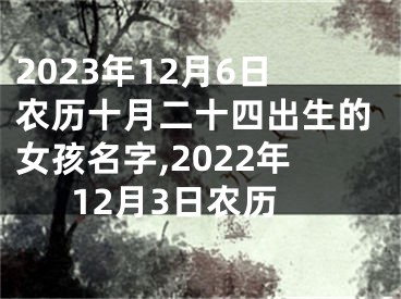 2023年12月6日农历十月二十四出生的女孩名字,2022年12月3日农历