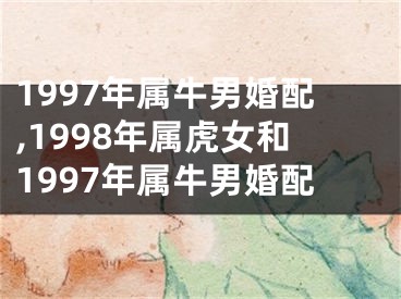 1997年属牛男婚配,1998年属虎女和1997年属牛男婚配