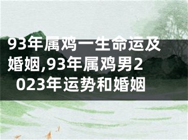 93年属鸡一生命运及婚姻,93年属鸡男2023年运势和婚姻