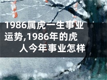 1986属虎一生事业运势,1986年的虎人今年事业怎样