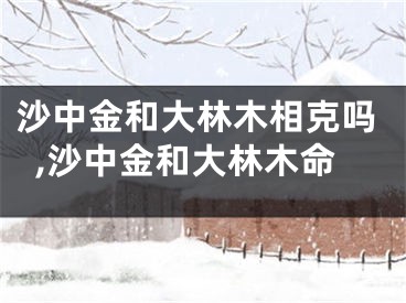 沙中金和大林木相克吗,沙中金和大林木命