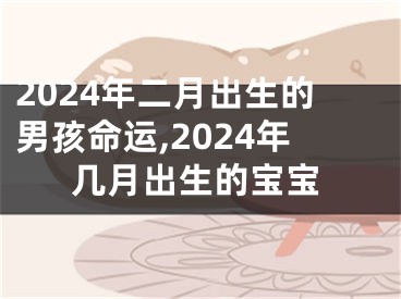 2024年二月出生的男孩命运,2024年几月出生的宝宝