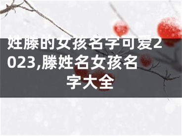 姓滕的女孩名字可爱2023,滕姓名女孩名字大全