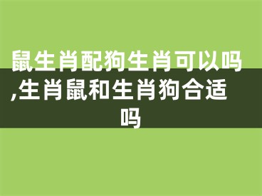 鼠生肖配狗生肖可以吗,生肖鼠和生肖狗合适吗