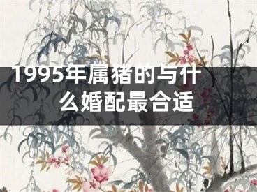 1995年属猪的与什么婚配最合适