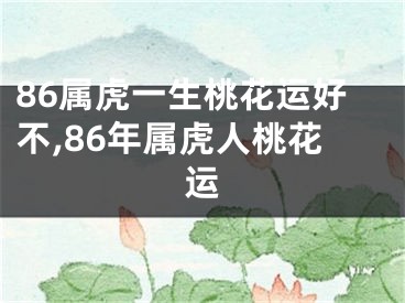 86属虎一生桃花运好不,86年属虎人桃花运