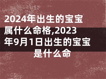 2024年出生的宝宝属什么命格,2023年9月1日出生的宝宝是什么命