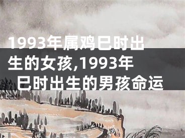 1993年属鸡巳时出生的女孩,1993年巳时出生的男孩命运