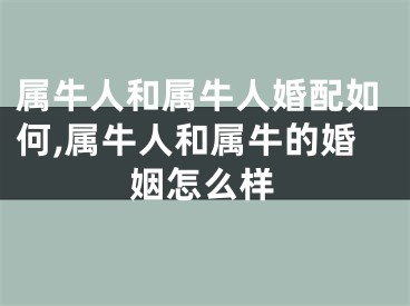 属牛人和属牛人婚配如何,属牛人和属牛的婚姻怎么样