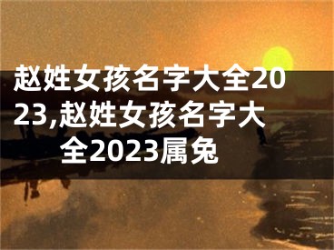 赵姓女孩名字大全2023,赵姓女孩名字大全2023属兔