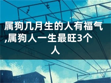 属狗几月生的人有福气,属狗人一生最旺3个人