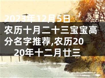 2023年12月5日农历十月二十三宝宝高分名字推荐,农历2020年十二月廿三