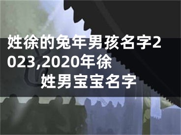 姓徐的兔年男孩名字2023,2020年徐姓男宝宝名字