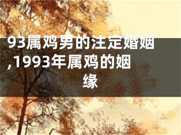 93属鸡男的注定婚姻,1993年属鸡的姻缘