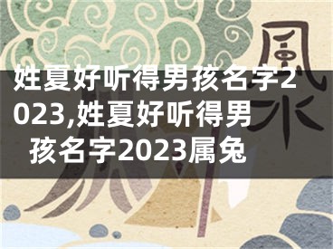 姓夏好听得男孩名字2023,姓夏好听得男孩名字2023属兔