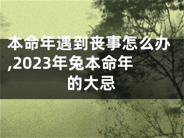 本命年遇到丧事怎么办,2023年兔本命年的大忌