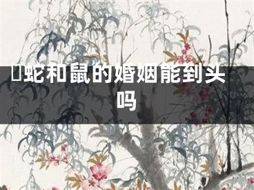 ​蛇和鼠的婚姻能到头吗