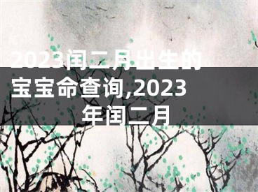 2023闰二月出生的宝宝命查询,2023年闰二月