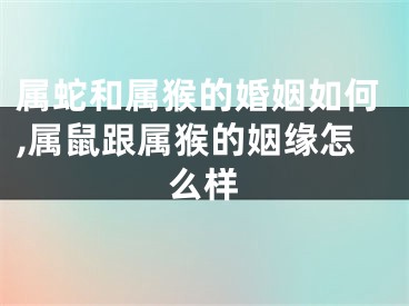 属蛇和属猴的婚姻如何,属鼠跟属猴的姻缘怎么样