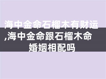 海中金命石榴木有财运,海中金命跟石榴木命婚姻相配吗