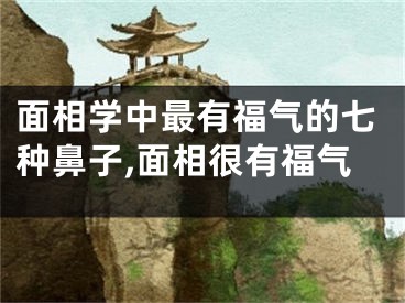 面相学中最有福气的七种鼻子,面相很有福气