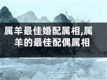 属羊最佳婚配属相,属羊的最佳配偶属相