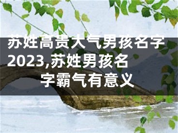 苏姓高贵大气男孩名字2023,苏姓男孩名字霸气有意义