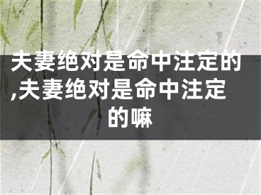 夫妻绝对是命中注定的,夫妻绝对是命中注定的嘛