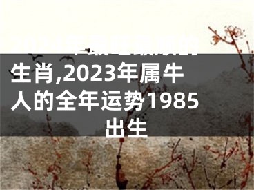 2024年最旺最顺的生肖,2023年属牛人的全年运势1985出生