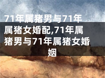 71年属猪男与71年属猪女婚配,71年属猪男与71年属猪女婚姻