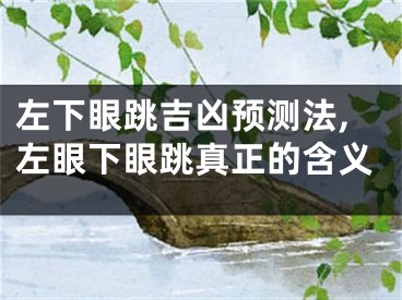 左下眼跳吉凶预测法,左眼下眼跳真正的含义