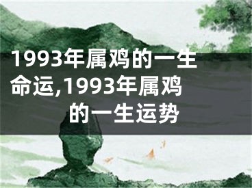 1993年属鸡的一生命运,1993年属鸡的一生运势