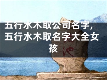 五行水木取公司名字,五行水木取名字大全女孩